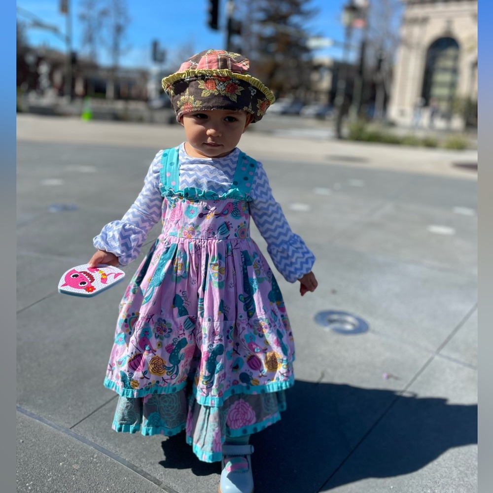 Jelly the Pug Dress Size 2T